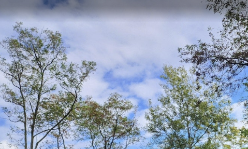 Alt 속성 문제 해결 설명 이미지