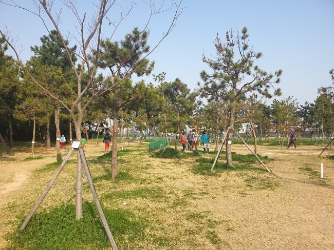 부산 강서구 사암파크골프장. 부산광역시 강서구 신호동 194 (신호공단 내)