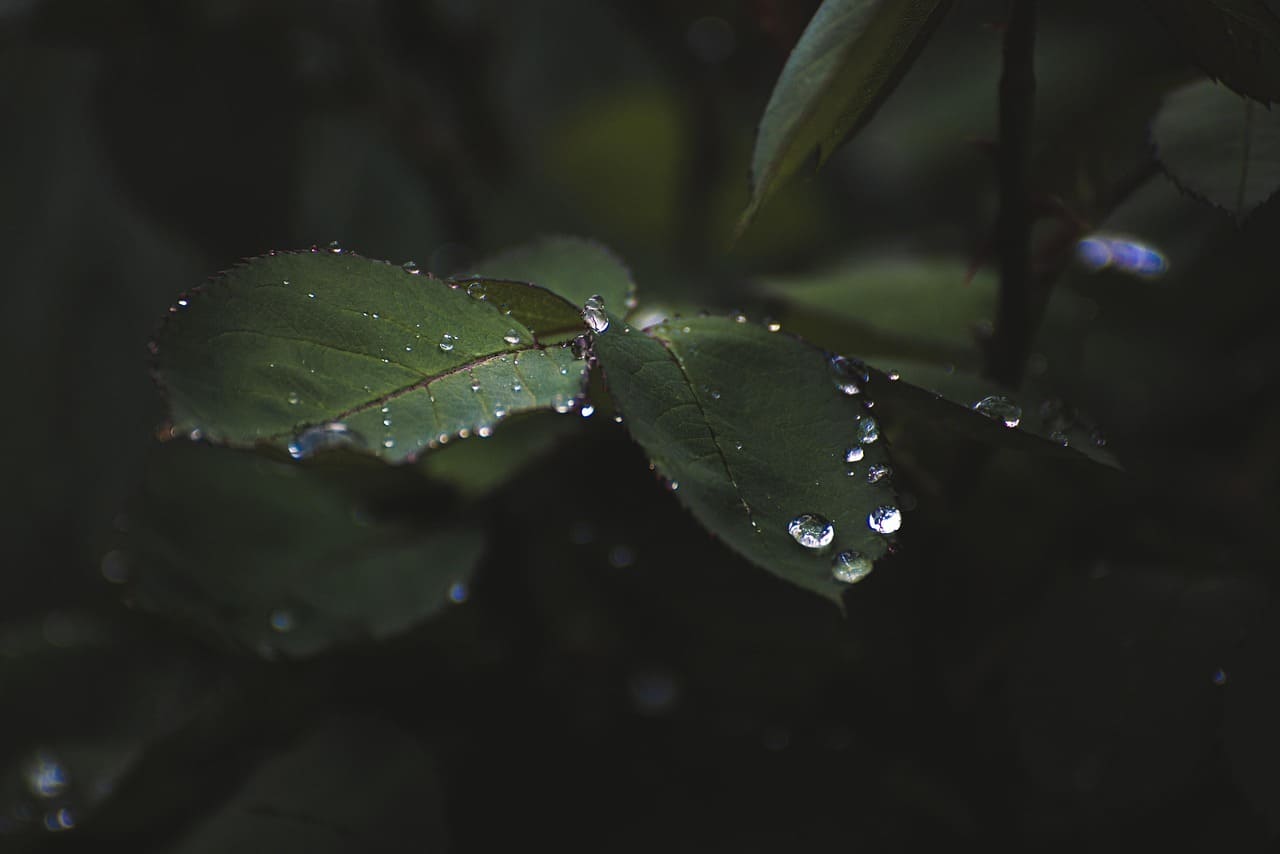장마철 습기 제거 방법&amp;#44; 환기해도 괜찮을까
