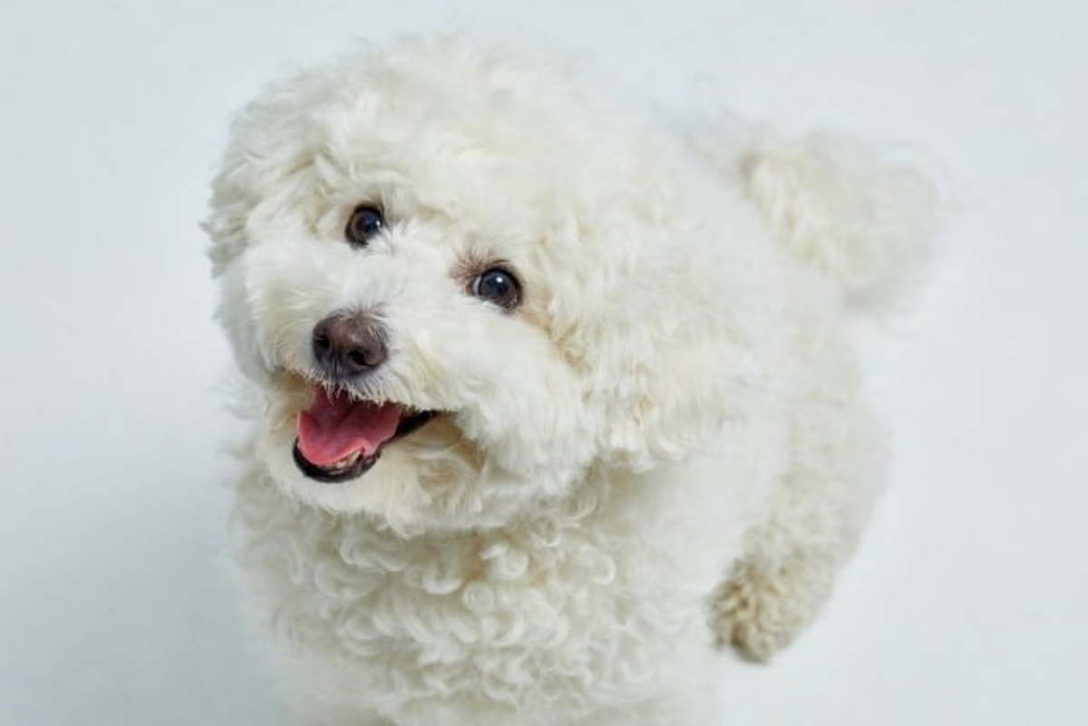 오늘의-운세-2023년-12월-26일-오늘의-띠별-운세