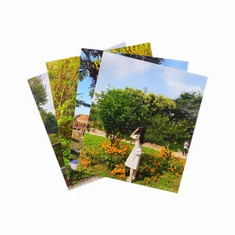 사진 인화 사이즈 해상도 비율 가정용 프린터 설정_2