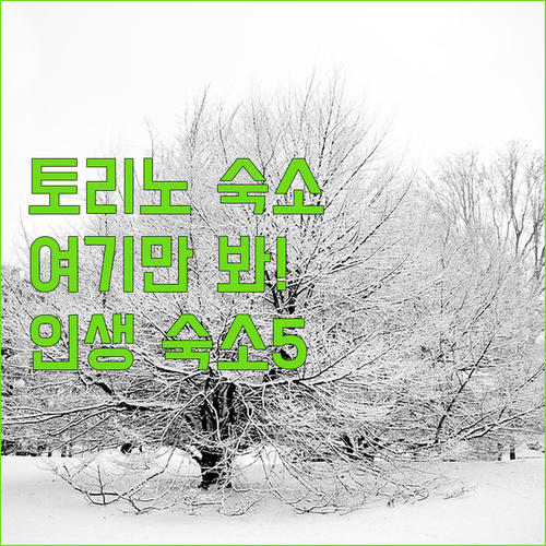 이탈리아 토리노 여행 숙소 추천 5곳..