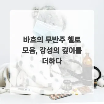 바흐의 무반주 첼로 모음곡: 단순함 속의 깊이를 탐구한다 연주 해설 분석_6