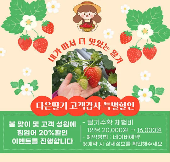 다은딸기