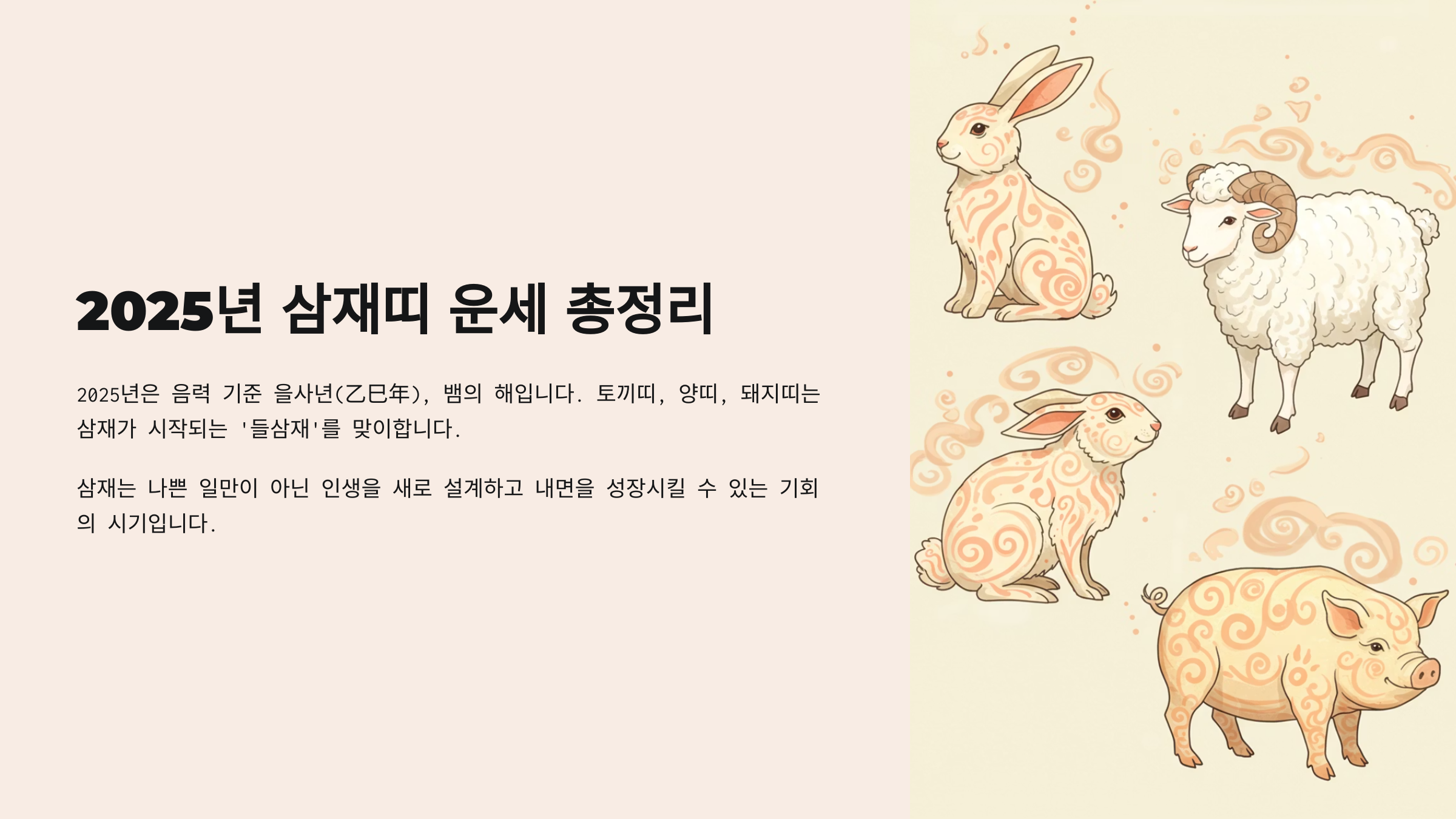 2025년 삼재띠 운세