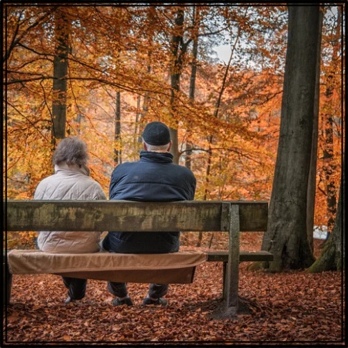 기초연금 수급자격 신청방법 모의계산