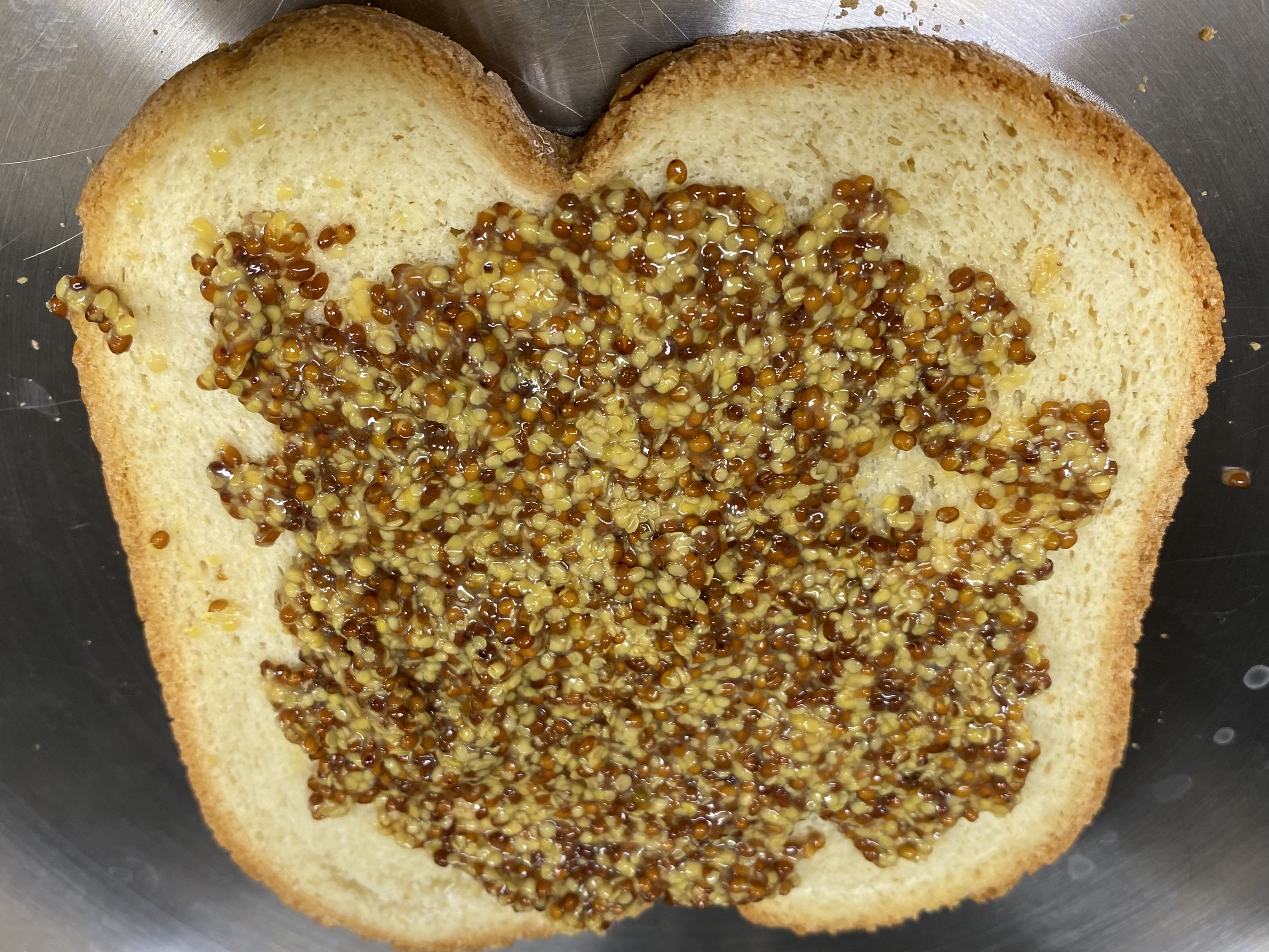 데운 빵에 홀그레인 머스타드를 바른모습