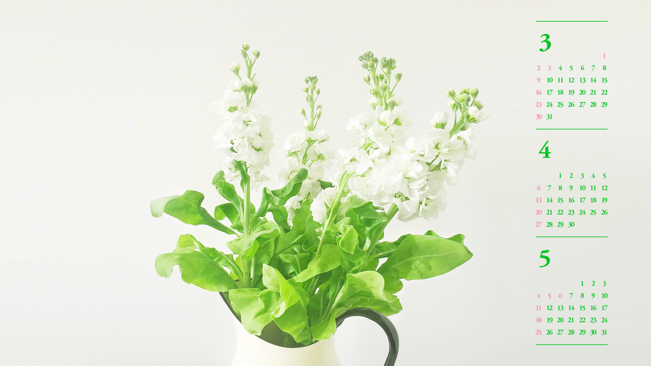 04 꽃병에 흰꽃 B - 2025년4월 노트북배경화면