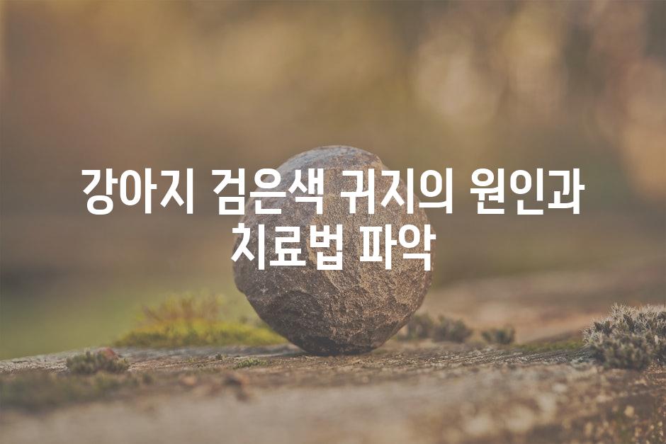 강아지 검은색 귀지의 원인과 치료법 파악