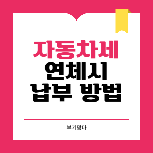 자동차세 납부기간 연체 시 과태료와 대처방법