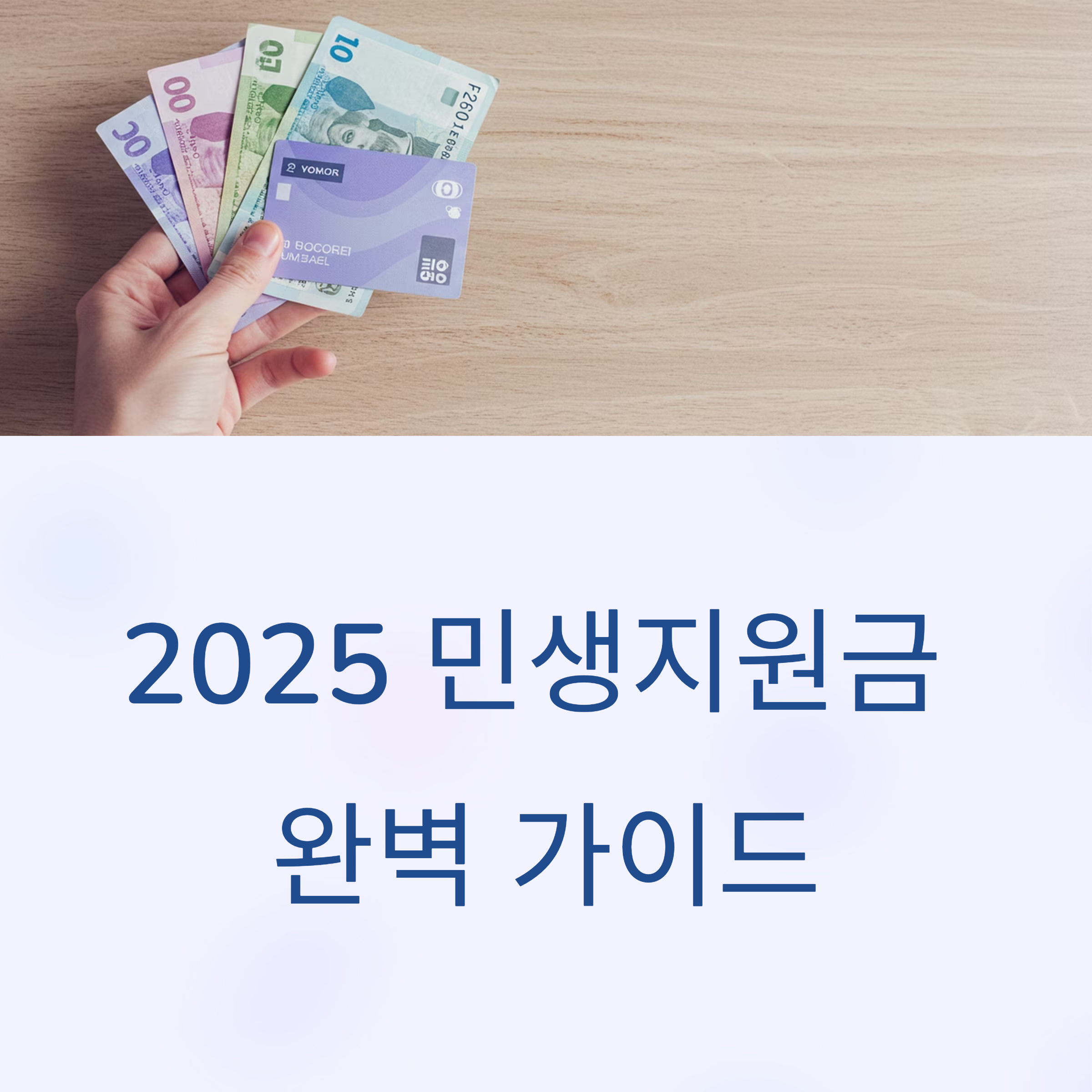 2025 민생지원금