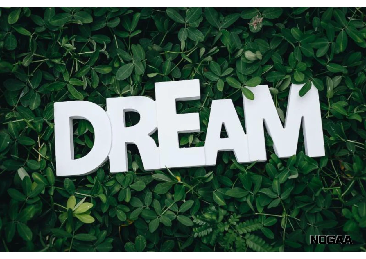 연예인이 나오는 꿈에서 느낀 감정의 의미