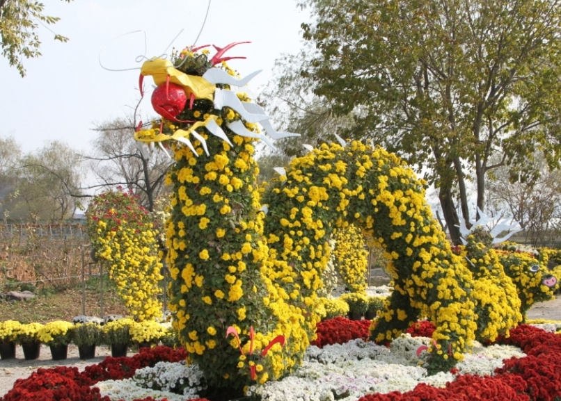 백제고도부여국화축제6