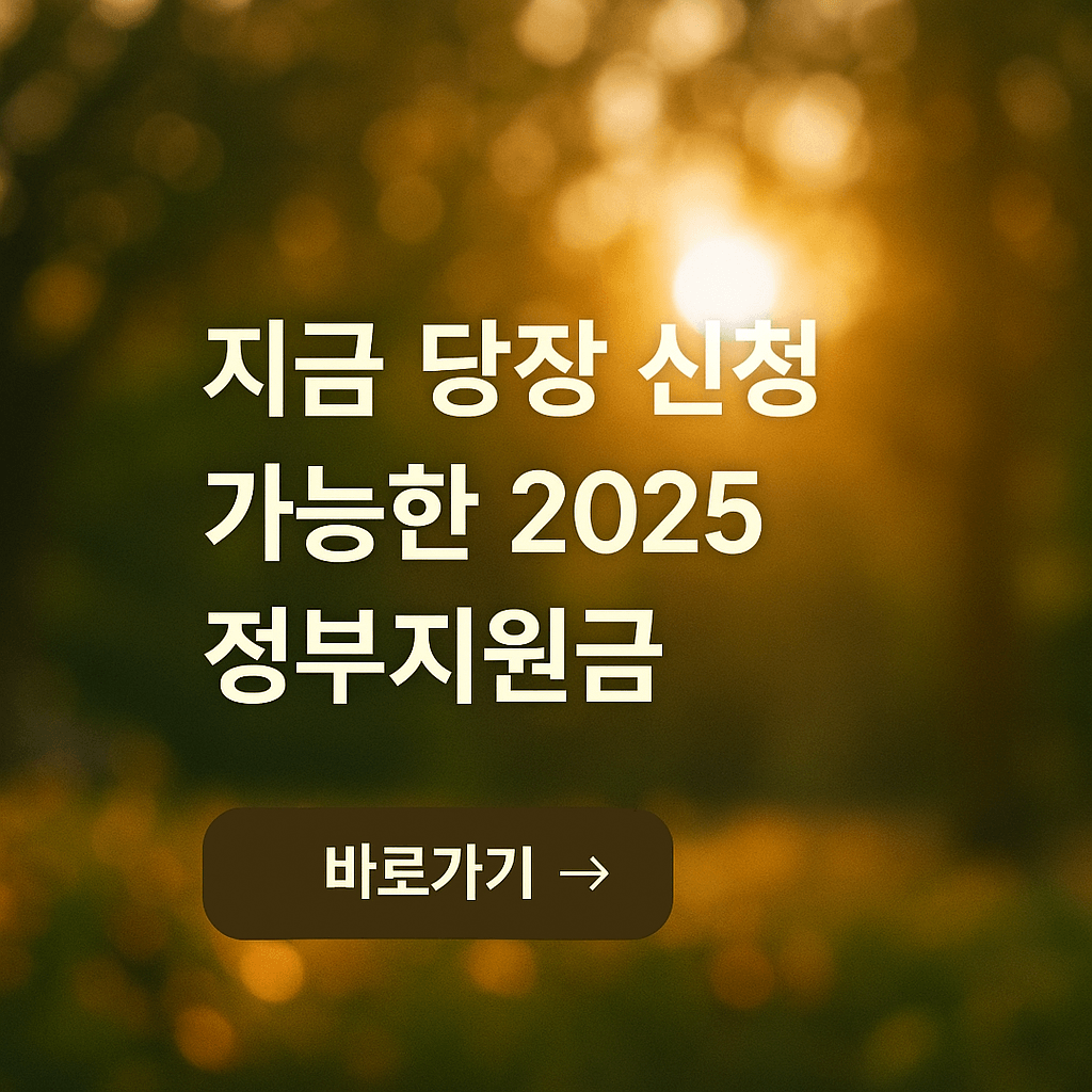 2025 정부지원금