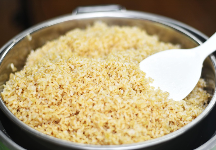 현미 관련 사진