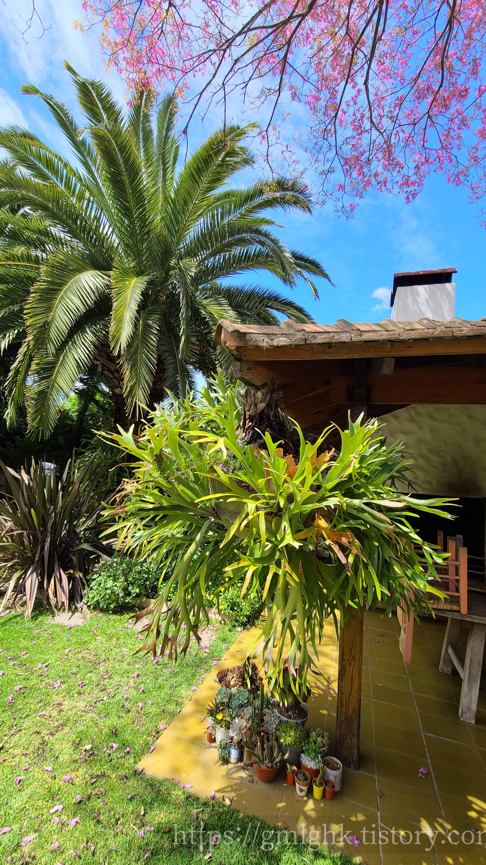 아르헨티나 날씨 10월 봄 박쥐란