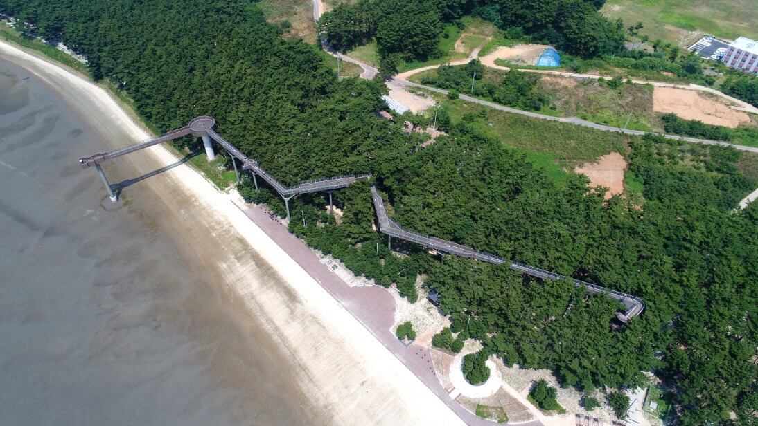 서천 장항 송림산림욕장 스카이워크