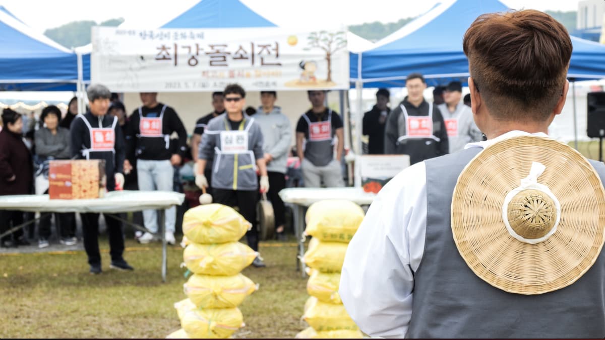 [5월 축제]2025 영주 한국선비문화축제❘기간, 일정, 프로그램, 공연 총정리