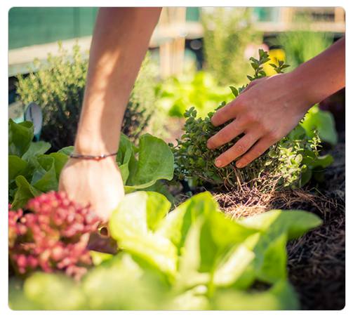강원 세계산림엑스포 