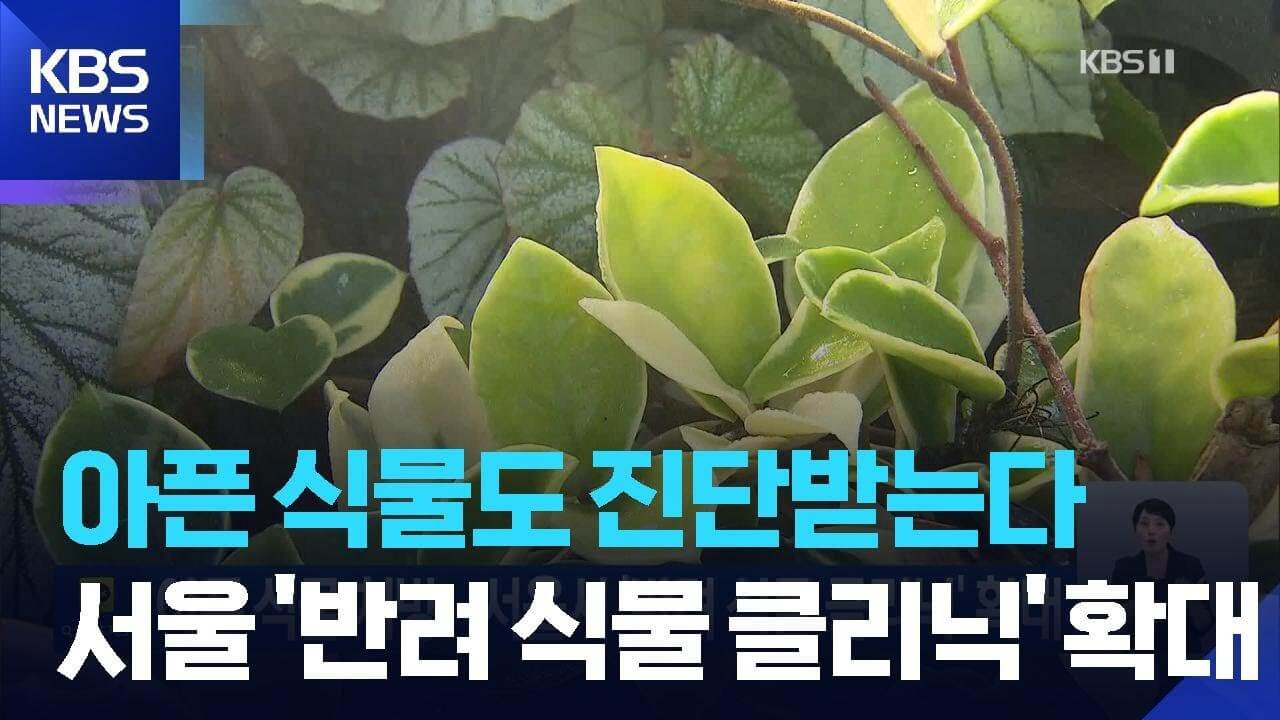 서울시 반려식물 클리닉 신청방법 예약