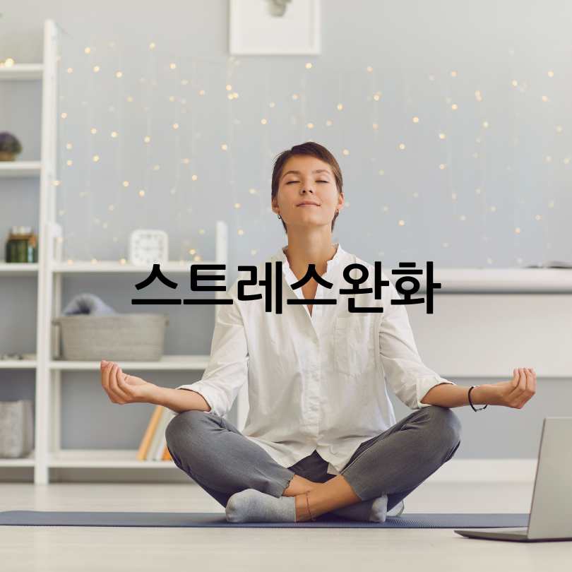 액상마그네슘효과