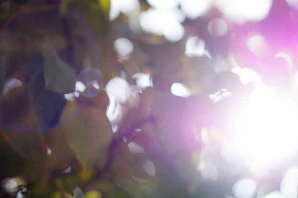 아침에 먹으면 좋은 음식 10가지 활력 넘치는 하루 시작