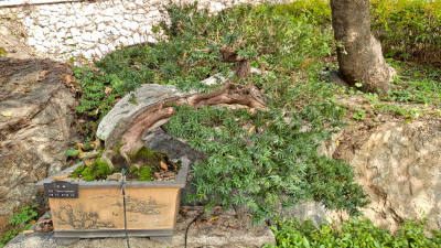 단풍명소_화담숲_하경정원