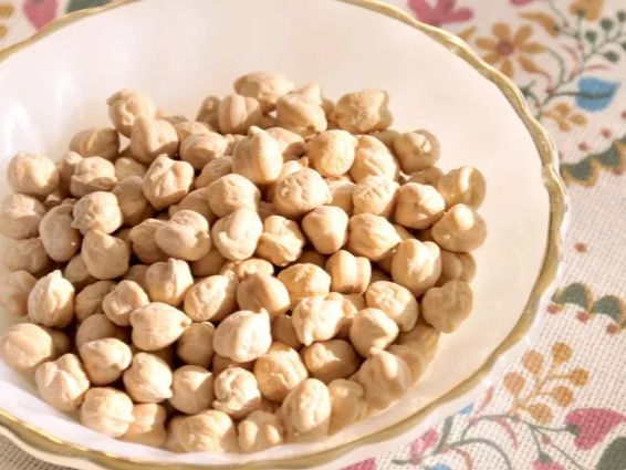 병아리콩 단백질