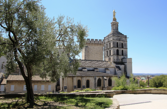프란치스코 교황 선종