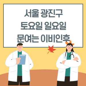 서울 광진구 토요일 일요일 이비인후과 진료 병원 리스트