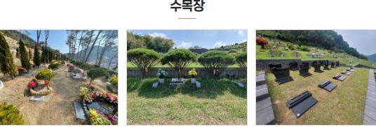 수목장