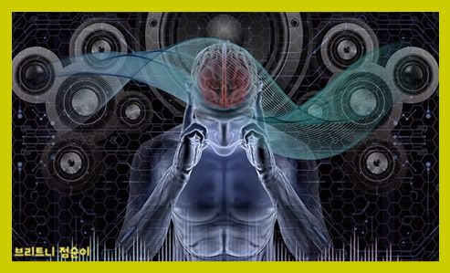 뇌파검사의 목적 뇌파검사 비용