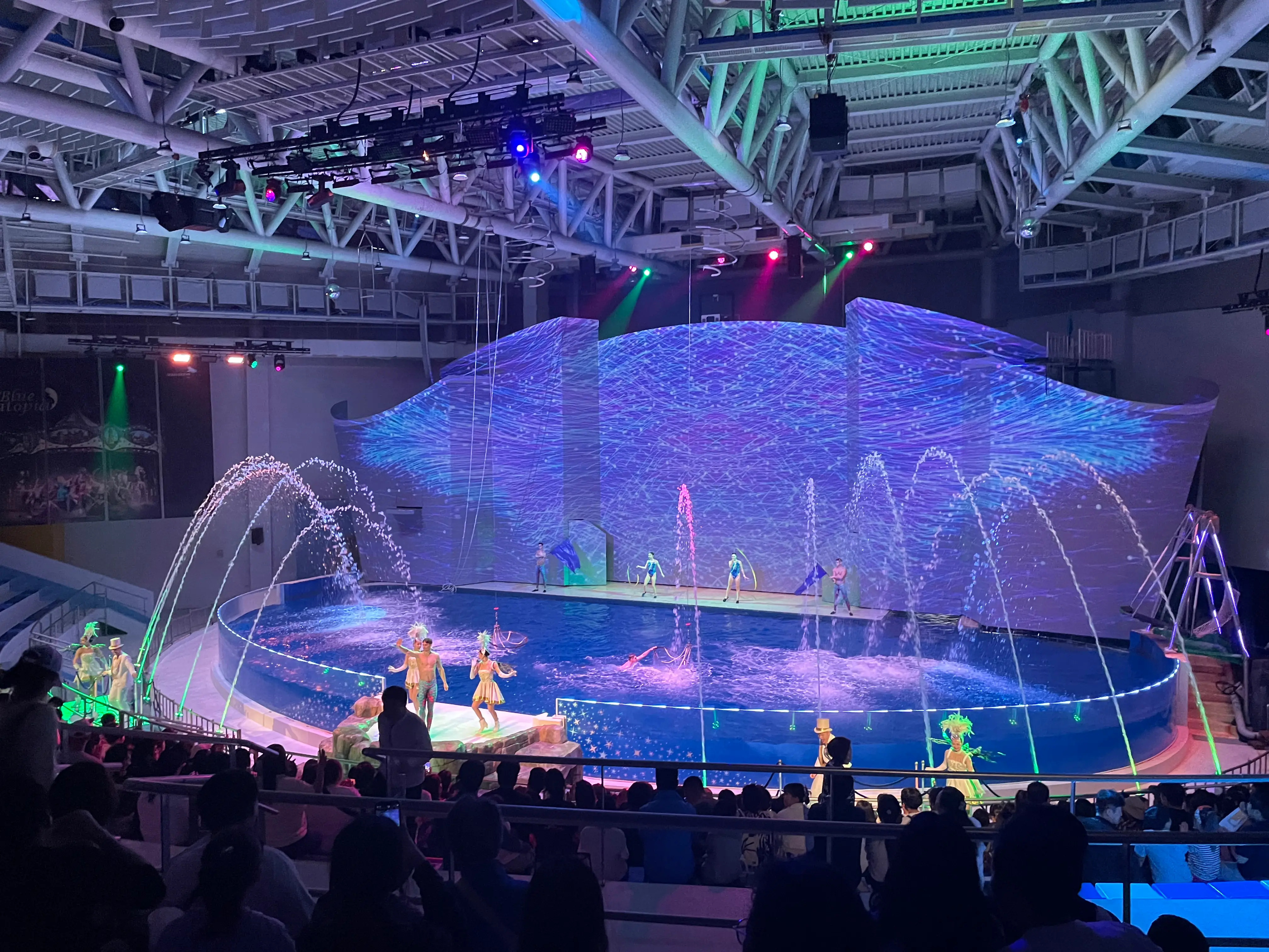 제주 아쿠아플라넷 오션아레나 공연