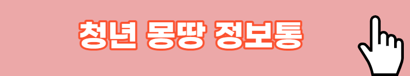 청년 몽땅 정보통