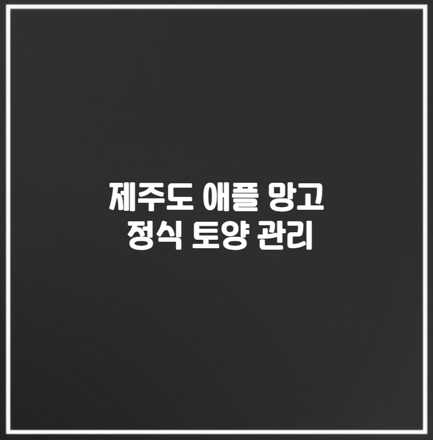 제주도 애플 망고 정식 토양 관리