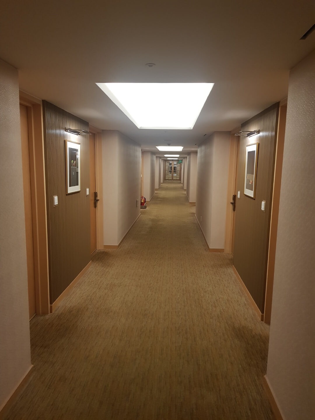 서대문구 호캉스 스위스 그랜드 호텔 위치 리뷰 5성급 호텔