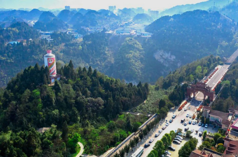 마오타이 종류 및 가격3