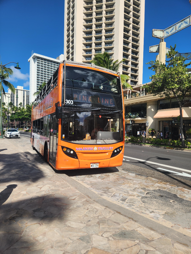 하와이 핑크 트롤리 버스
