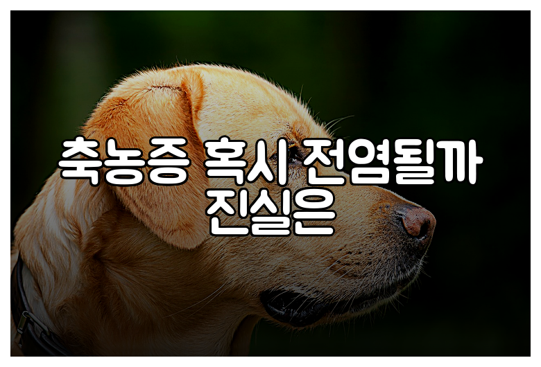 축농증 혹시 전염될까 진실은