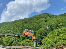 대봉산 숲속힐링