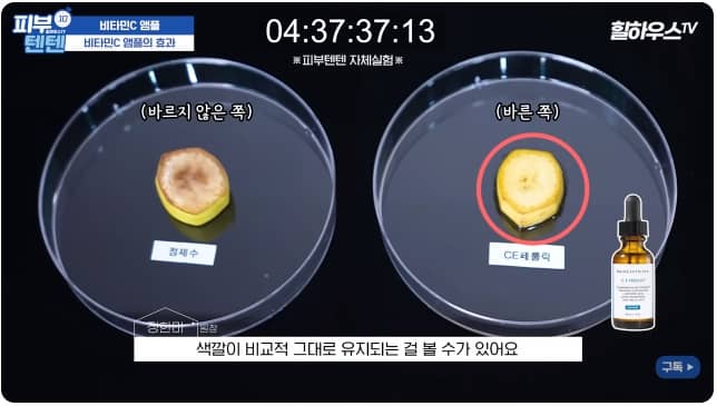 항산화 효과 실험