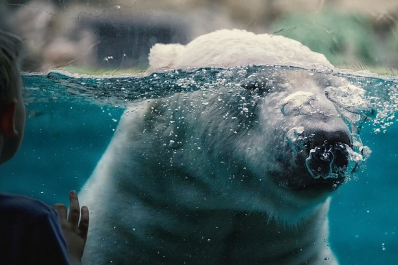 입장료는 어디로? 동물원 수익의 흐름과 사회적 환원