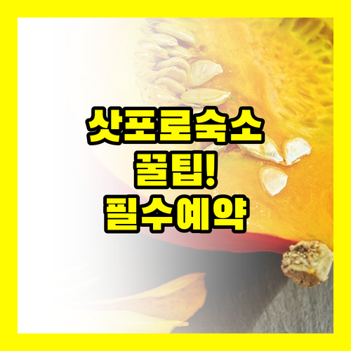 다음 삿포로 여행에 바로 쓸 숙소 3..