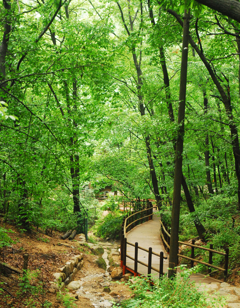 가을 단풍 여행지 추천 탐방로 예약제