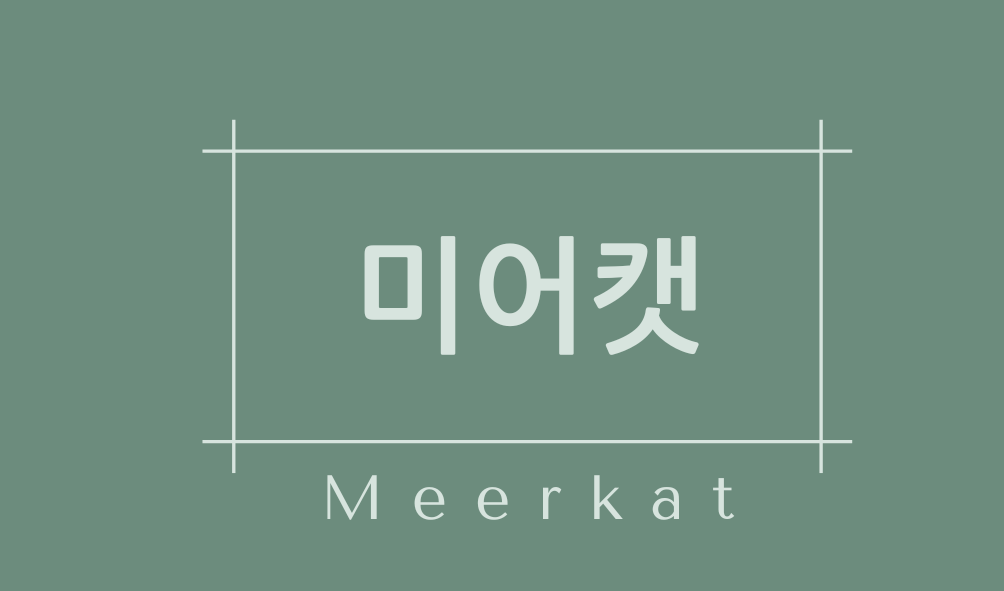 미어캣(Meerkat)