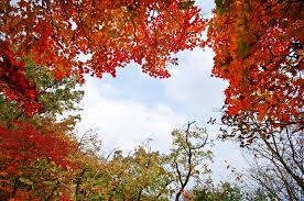 북한산 단풍 명소 베스트코스