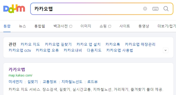 카카오맵 앱 메인 화면