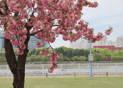 하남미사경정공원-인스그램출저