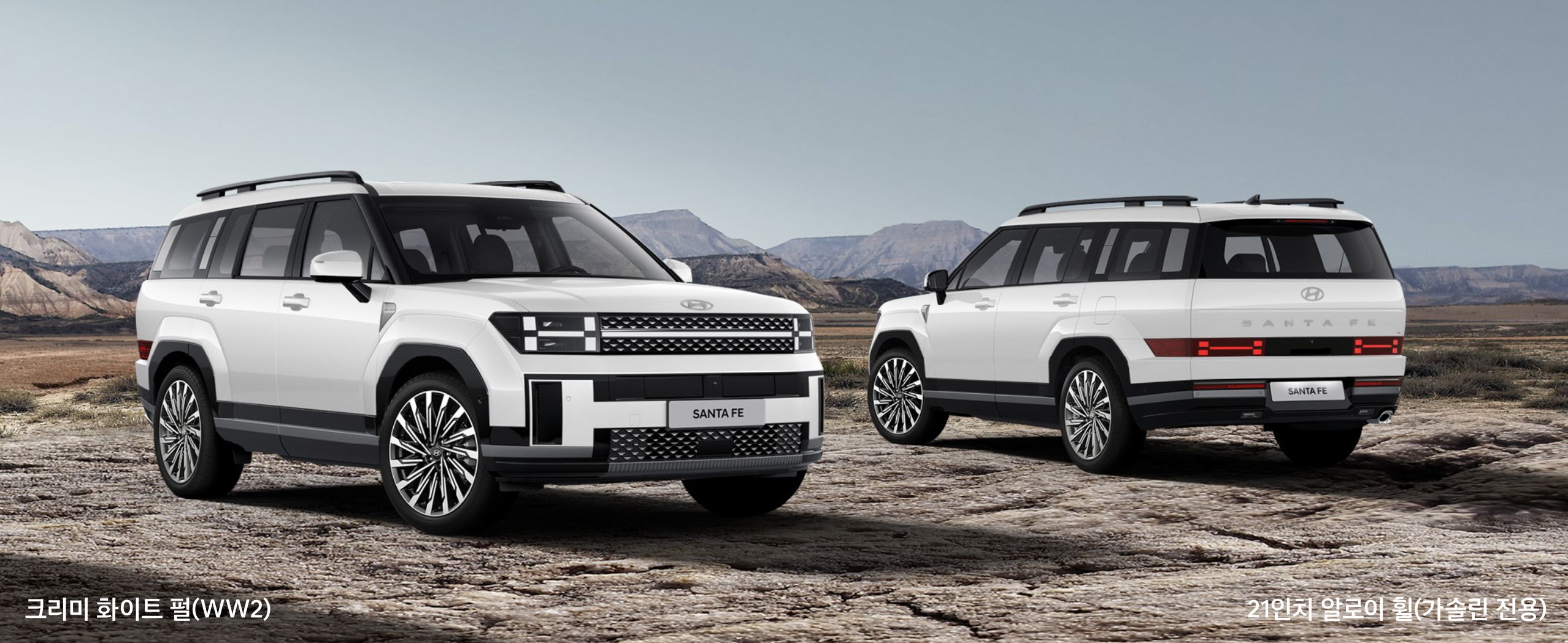 크리미 화이트 펄(색상 코드 : WW2)