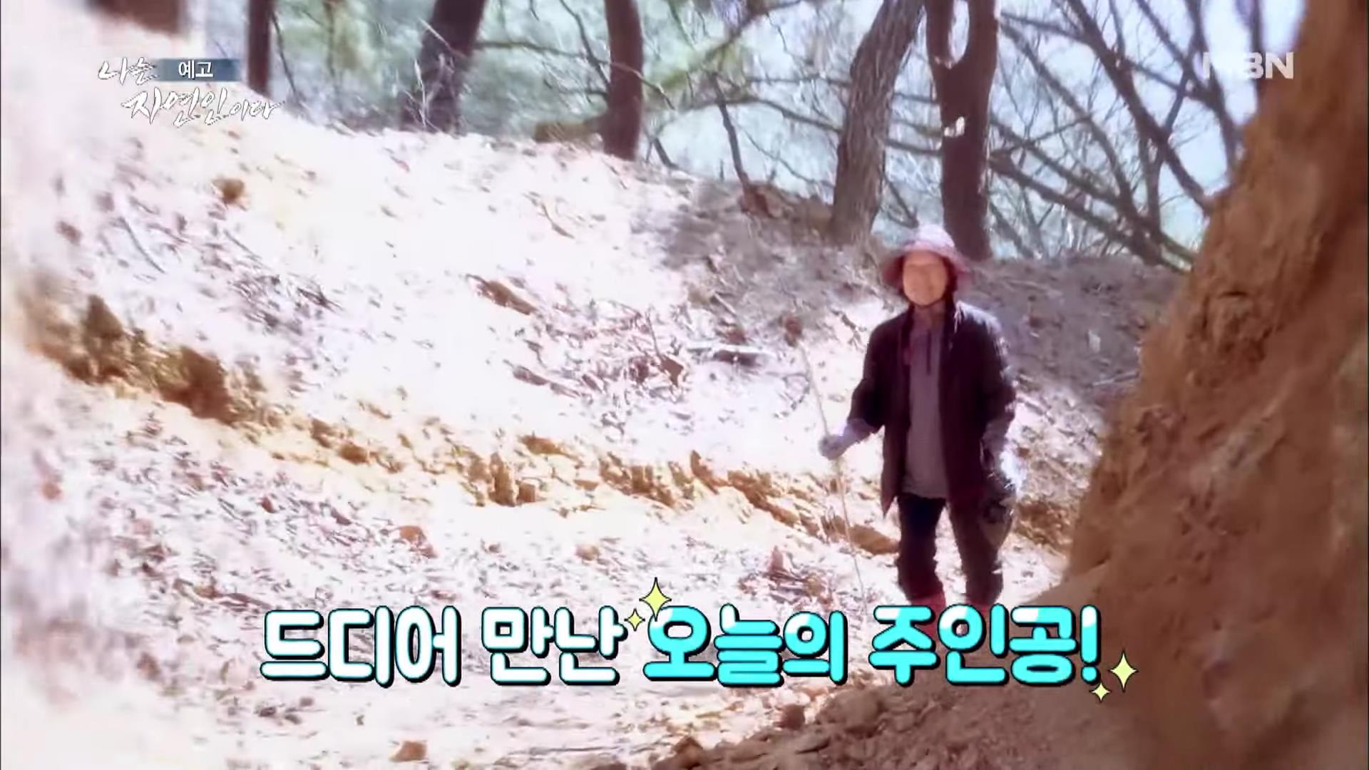 나는 자연인이다 100년 집 머위꽃 튀김 달래무침 개복숭아 고추장 황태 북어 구이 고립무원의 자유 자연인 서옥선 소개 및 윤택 출연 549회 다시보기